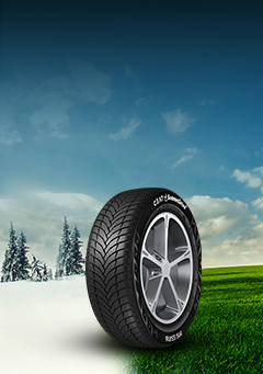 bannerimg