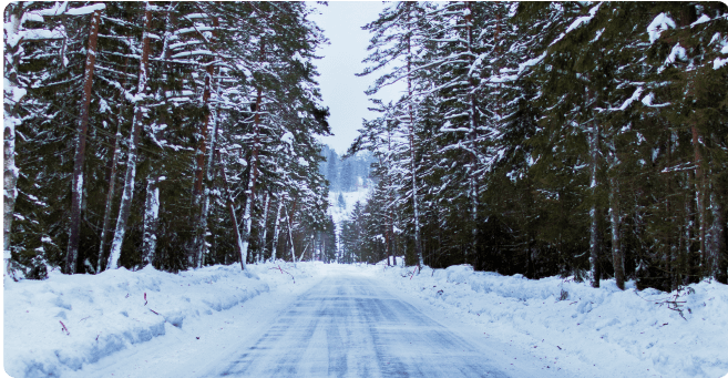 wintertyreimg